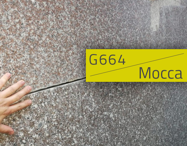 Granit G664 kontra Brown Mocca