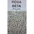 Rosa Beta poler