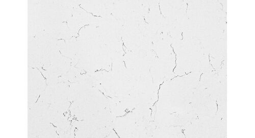 Carrara Plasma 2cm poler